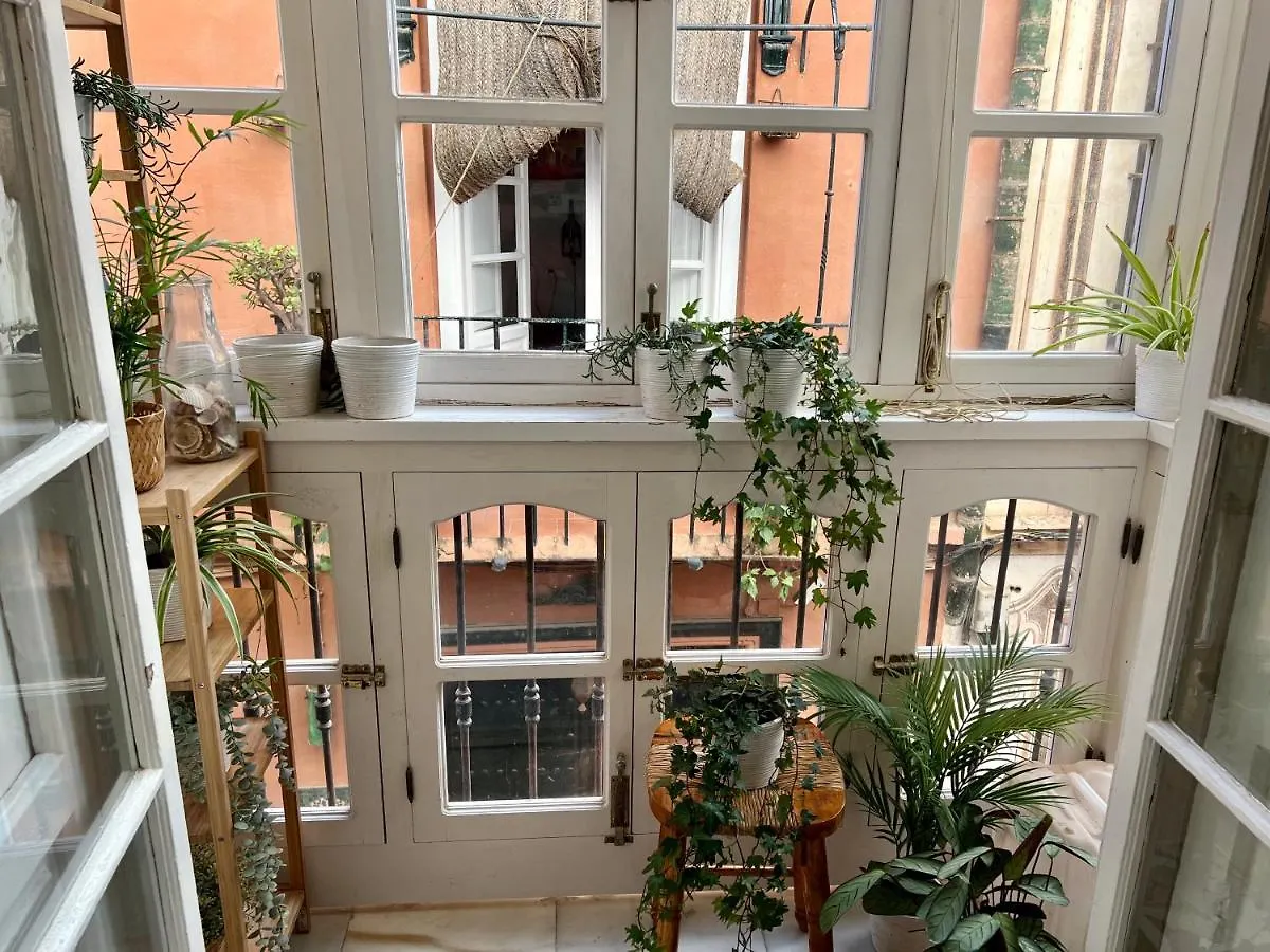 Iyourbasics Great Apartment Hinestrosa 23 Free Wifi&Ac Malaga