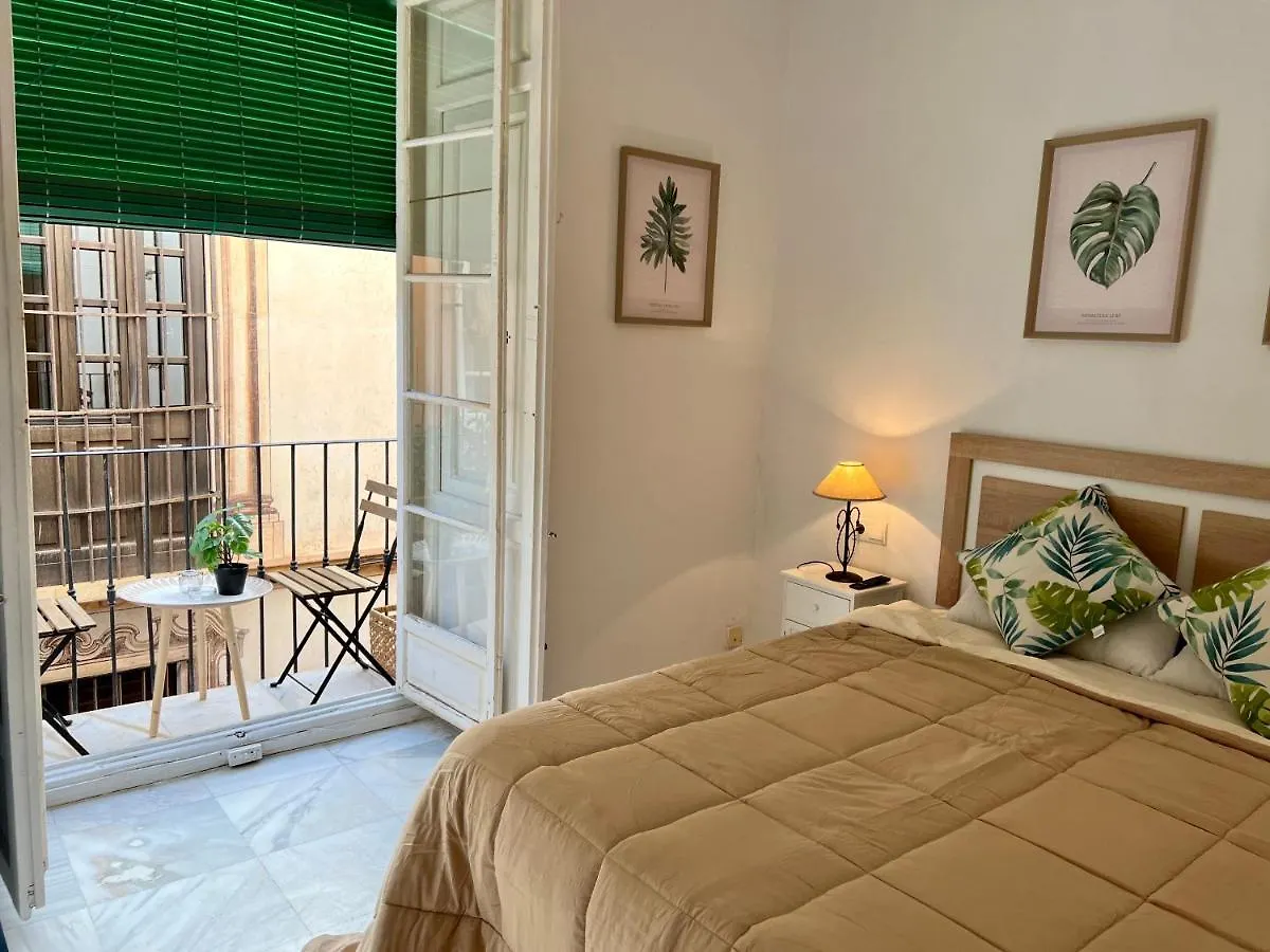 Iyourbasics Great Apartment Hinestrosa 23 Free Wifi&Ac Malaga Spain