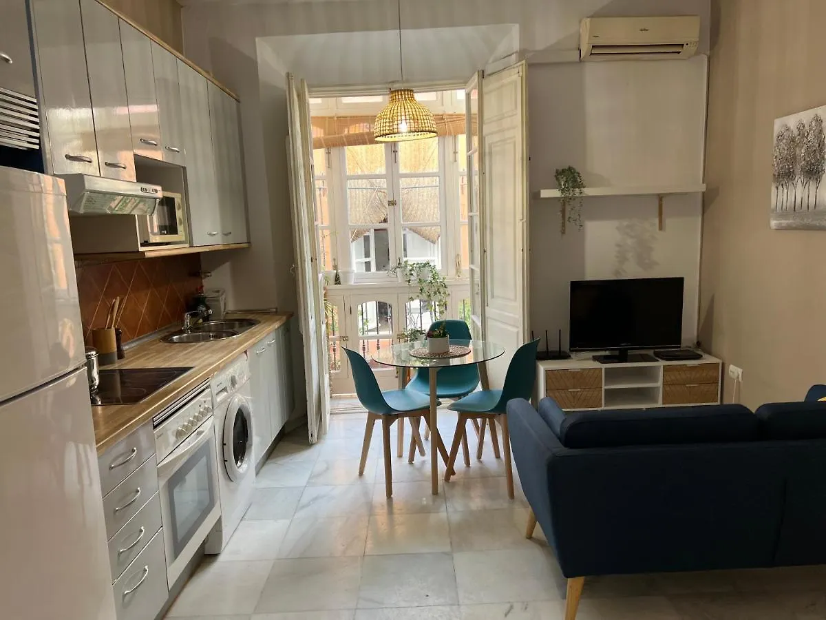 Iyourbasics Great Apartment Hinestrosa 23 Free Wifi&Ac Malaga 0*,  Spain