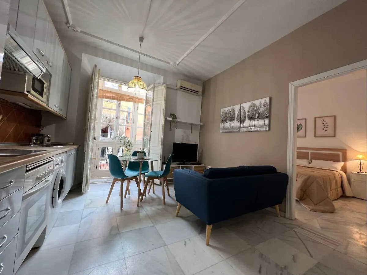 Iyourbasics Great Apartment Hinestrosa 23 Free Wifi&Ac Malaga
